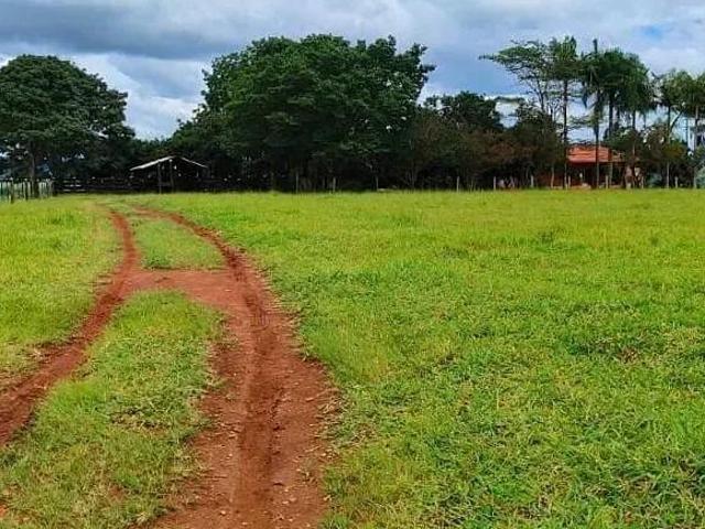 Sítio e chácara venda em Região Imediata de Itapetininga, Região Metropolitana de Sorocaba