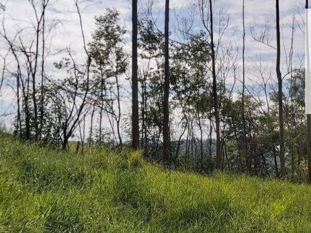 Sítio e chácara venda em Região Imediata de Amparo, Amparo
