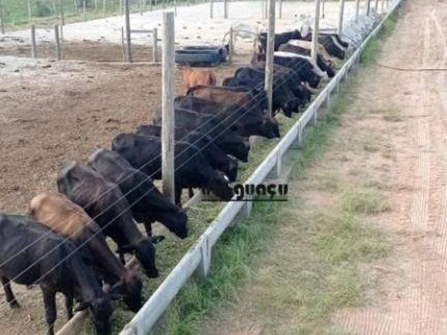 Sítio e chácara venda em Itapeva