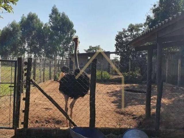 Sítio e chácara venda em Região Imediata de Campinas, Região Metropolitana de Campinas