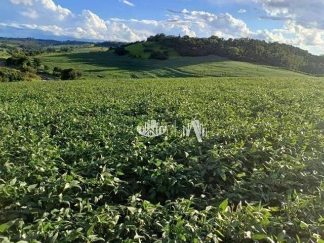Sítio e chácara venda em Região Geográfica Imediata de Londrina, Londrina