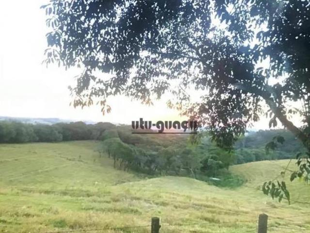 Sítio e chácara venda em Tatetu, Alambari