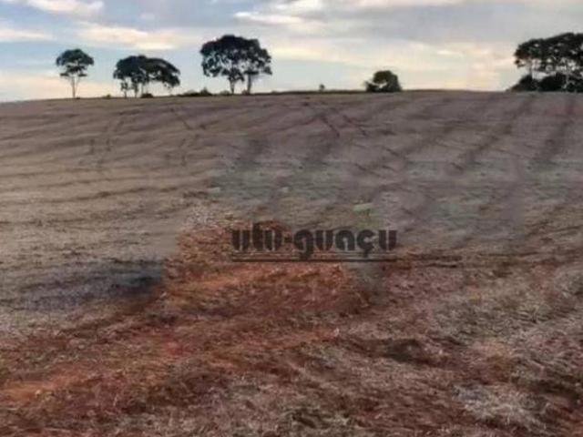 Sítio e chácara venda em Jardim Cambuci, Presidente Prudente