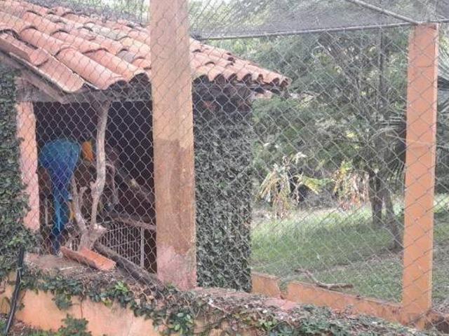 Sítio e chácara venda em Região Imediata de Tatuí, Região Metropolitana de Sorocaba