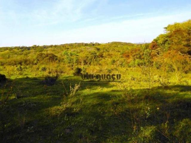 Sítio e chácara venda em Santarém