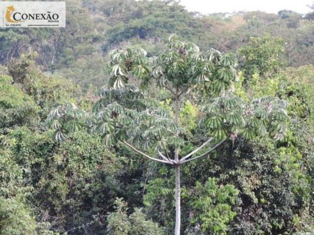 Sítio e chácara venda em Água Vermelha, São Carlos