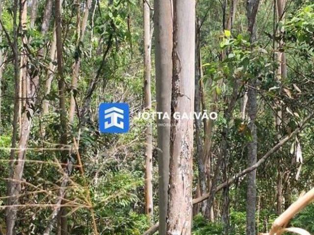 Sítio e chácara venda em Região Imediata de Registro, Juquia