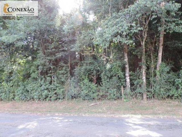 Sítio e chácara venda em Água Vermelha, São Carlos