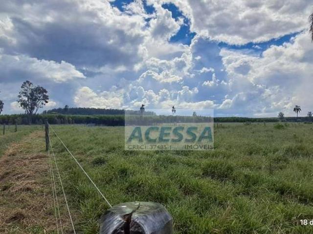 Sítio e chácara venda em Região Imediata de Avaré, Avaré