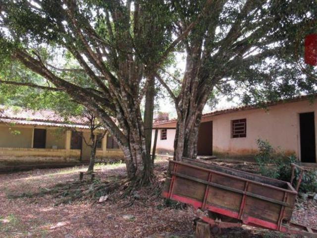 Sítio e chácara venda em Vila Quintino, Piedade