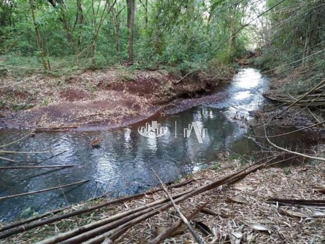 Sítio e chácara venda em Região Geográfica Imediata de Londrina, Londrina