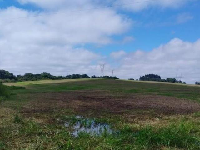 Sítio e chácara venda em Guarapuava, Região Geográfica Intermediária de Guarapuava