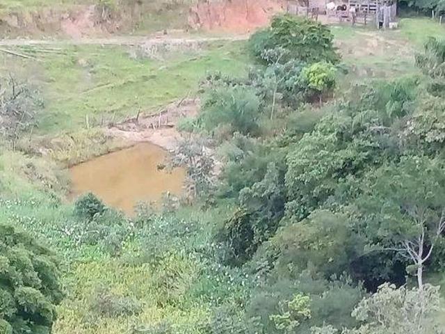 Sítio e chácara venda em Caçapava
