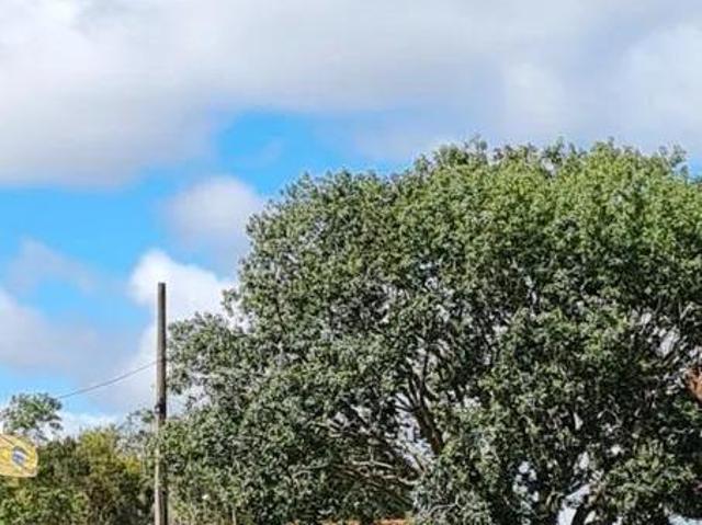 Sítio e chácara venda em Piedade, São Paulo