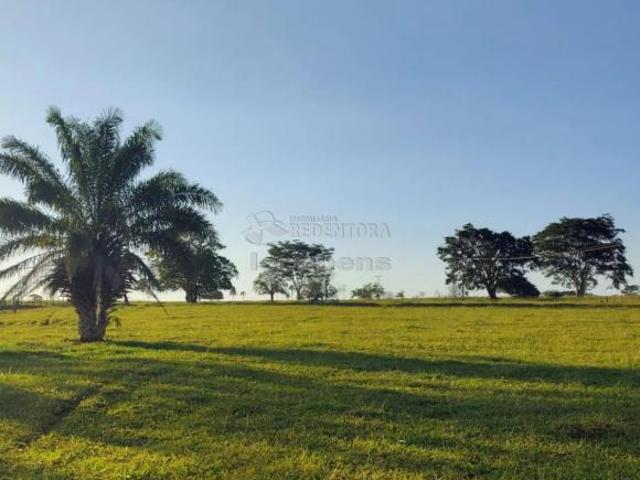 Sítio e chácara venda em Região Imediata de Fernandópolis, Fernandópolis