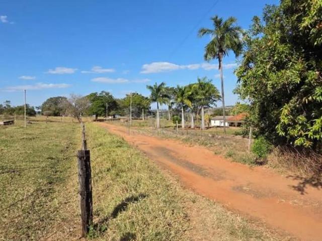 Sítio e chácara venda em Região Imediata de Fernandópolis, Fernandópolis
