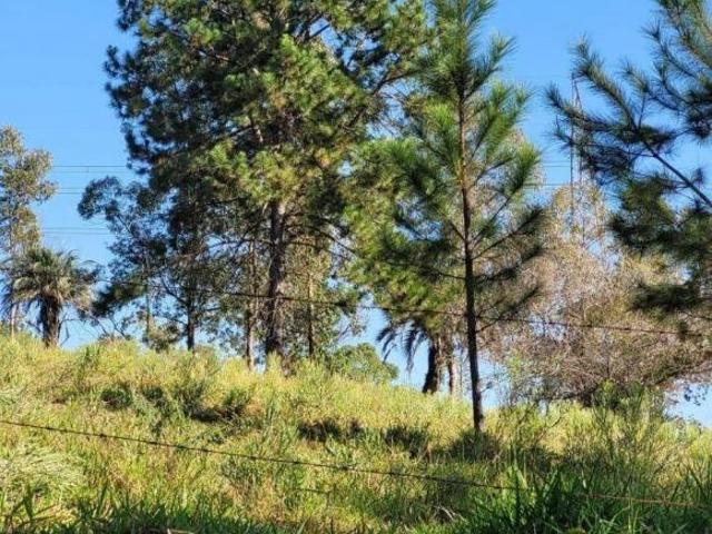 Sítio e chácara venda em Região Geográfica Imediata de Porto Alegre, Região Metropolitana de Porto Alegre