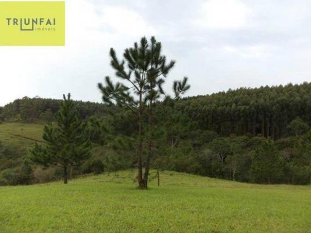 Sítio e chácara venda em Região Imediata de Sorocaba, Região Metropolitana de Sorocaba