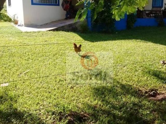 Sítio e chácara venda em São Simão