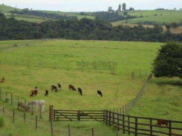 Sítio e chácara venda em Cocaes, Sarapuí