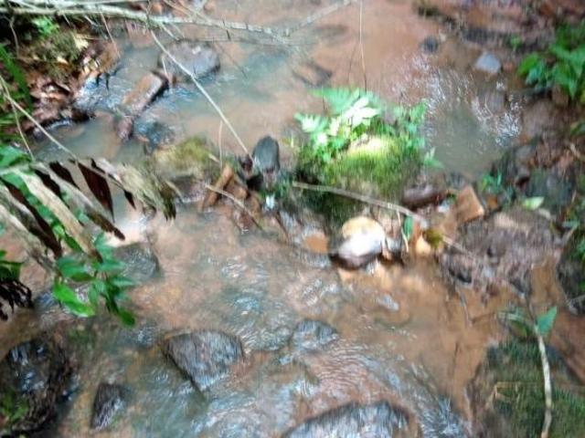 Sítio e chácara venda em Região Imediata de Bragança Paulista, Joanópolis