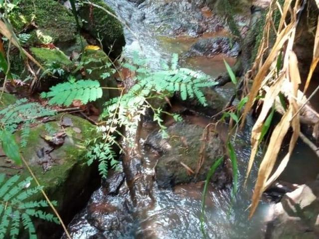 Sítio e chácara venda em Região Imediata de Bragança Paulista, Joanópolis