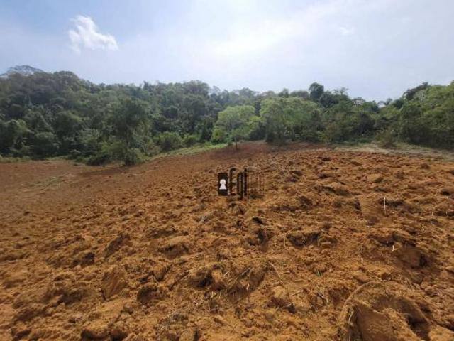 Sítio e chácara venda em Região Geográfica Imediata de Juiz de Fora, Piau