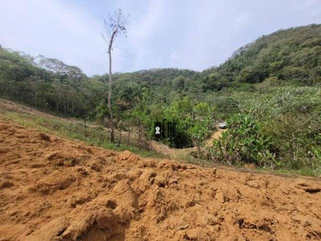 Sítio e chácara venda em Região Geográfica Imediata de Juiz de Fora, Piau
