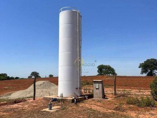 Sítio e chácara venda em Região Imediata de São José do Rio Preto, Região Metropolitana de São José do Rio Preto