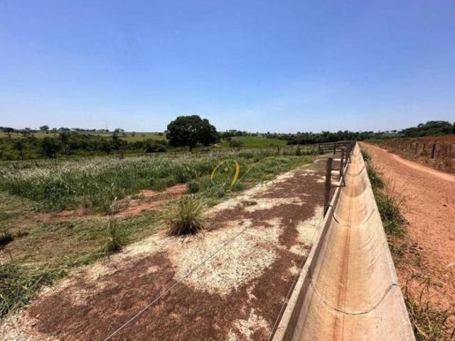 Sítio e chácara venda em Região Imediata de São José do Rio Preto, Região Metropolitana de São José do Rio Preto