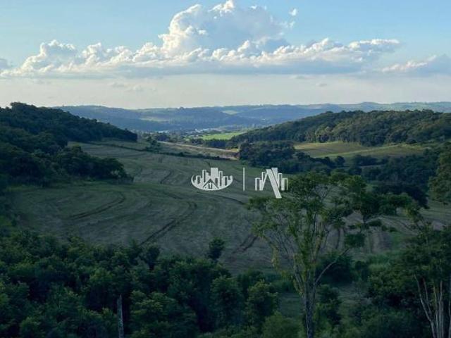 Sítio e chácara venda em Região Geográfica Imediata de Londrina, Assaí
