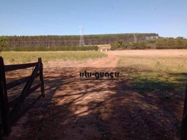 Sítio e chácara venda em Avaré