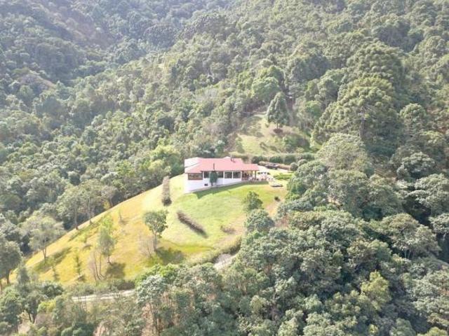 Sítio e chácara venda em Região Geográfica Imediata de Barbacena, Barbacena