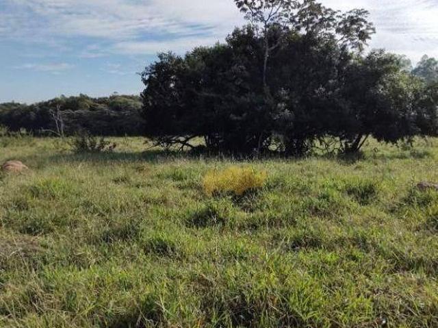 Sítio e chácara venda em Região Imediata de Rio Claro, Região Metropolitana de Piracicaba