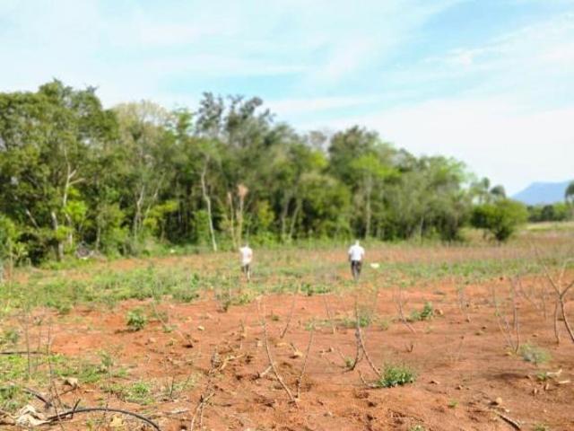 Sítio e chácara venda em Região Geográfica Imediata de Novo Hamburgo - São Leopoldo, Região Metropolitana de Porto Alegre