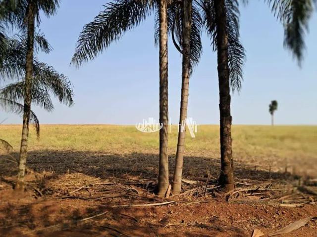 Fazenda venda em Região Geográfica Imediata de Londrina, Ibiporã