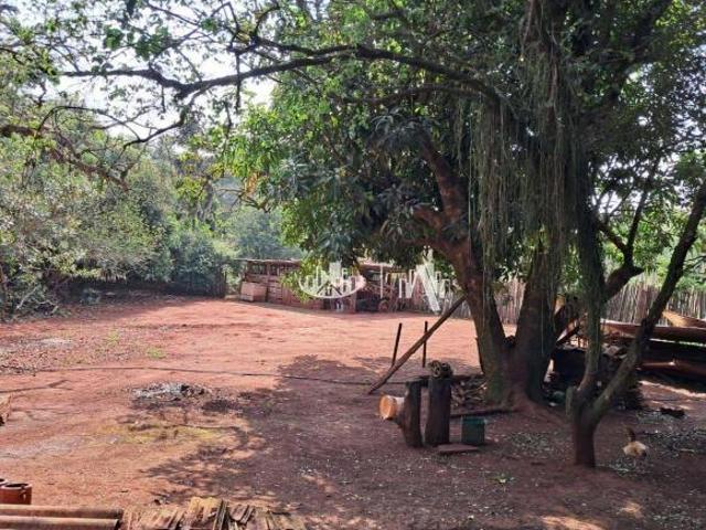 Sítio e chácara venda em Região Geográfica Imediata de Londrina, Ibiporã