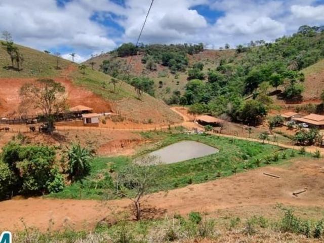 Sítio e chácara venda em Antônio Dias, Região Geográfica Intermediária de Ipatinga