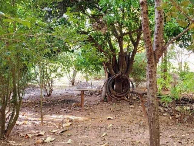 Sítio e chácara venda em Região Imediata de Barretos, Região Metropolitana de São José do Rio Preto