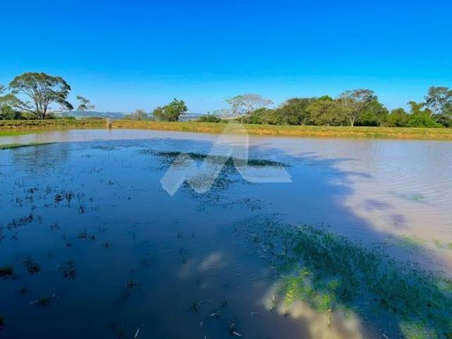 Sítio e chácara venda em Região Geográfica Imediata de Toledo, Toledo