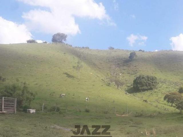 Sítio e chácara venda em Região Imediata de Amparo, Amparo