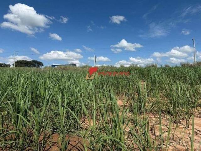 Sítio e chácara venda em Região Imediata de Limeira, Região Metropolitana de Piracicaba