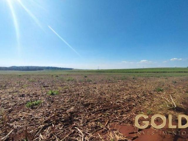 Sítio e chácara venda em Região Geográfica Imediata de Apucarana, Bom Sucesso