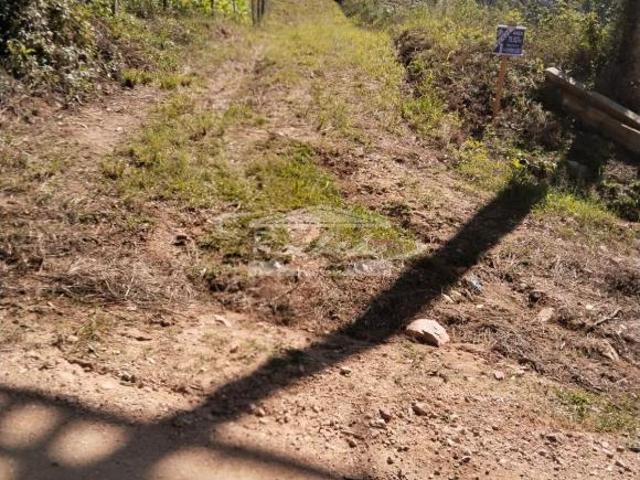Sítio e chácara venda em Região Geográfica Imediata de Curitiba, Região Metropolitana de Curitiba