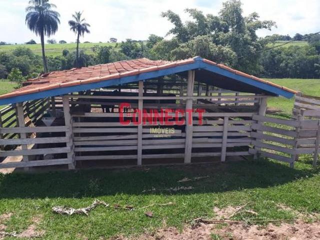 Sítio e chácara venda em Região Imediata de Ribeirão Preto, Região Metropolitana de Ribeirão Preto