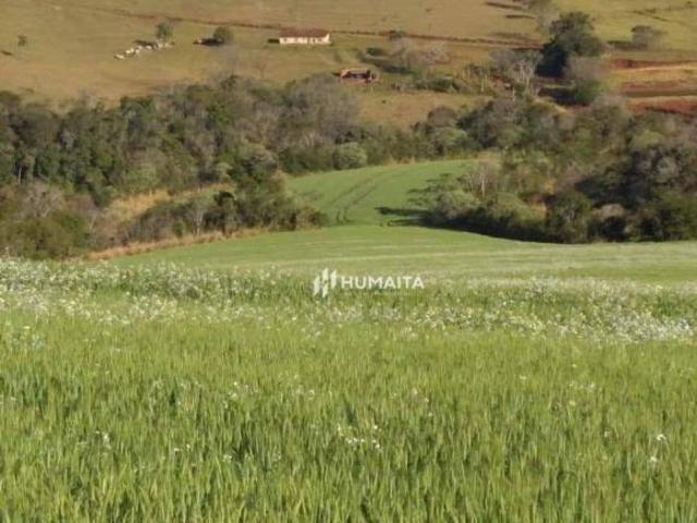 Sítio e chácara venda em Bratislava, Cambé