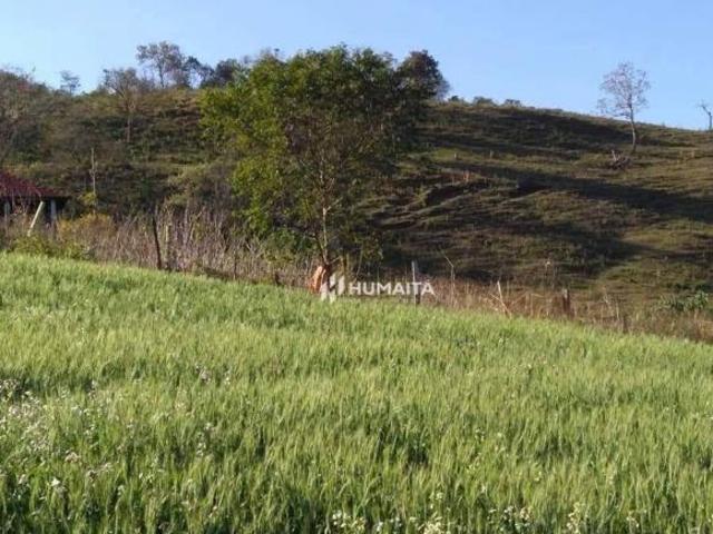 Sítio e chácara venda em Região Geográfica Imediata de Londrina, Cambé