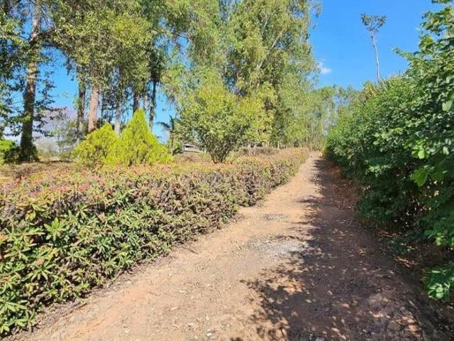 Sítio e chácara venda em Região Geográfica Imediata de Oliveira, Carmópolis de Minas