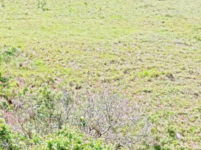Sítio e chácara venda em Região Imediata de Bragança Paulista, Joanópolis