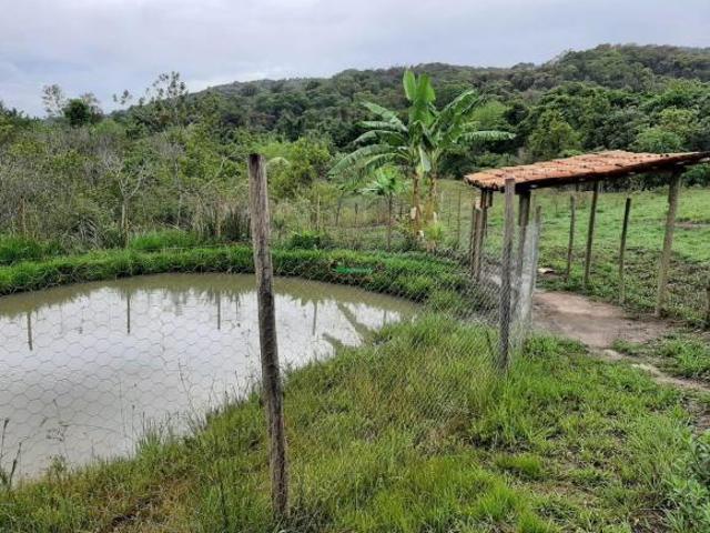 Sítio e chácara venda em Região Geográfica Imediata de Oliveira, Passa Tempo